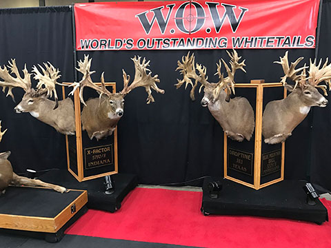 World's Outstanding Whitetails